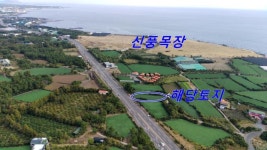 제주고대표공인중개사사무소