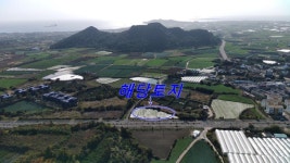 제주고대표공인중개사사무소