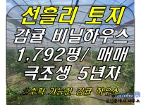 시청공인중개사