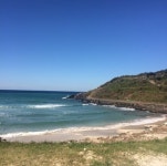 오일장신문닷컴