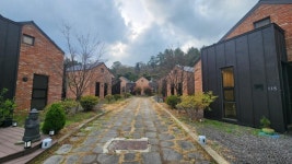 제주카카오부동산중개