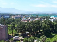 노형114공인중개사무소