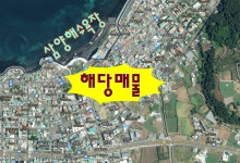 동하부동산중개