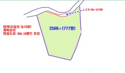 제주다움부동산중개