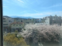 영주공인중개사사무소