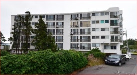 오일장신문닷컴