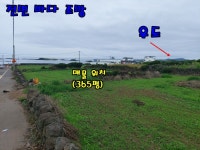 제주노른자부동산중개