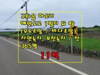 제주노른자부동산중개
