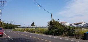 오일장신문닷컴