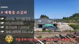 금두꺼비부동산중개사무소