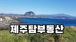 제주탐부동산중개