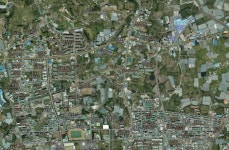 제주부동산365담덕공인중개사사무소