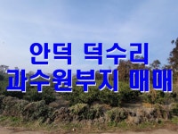 오일장신문닷컴