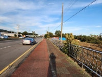 단방공인중개사