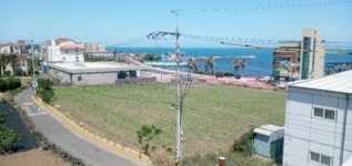 오일장신문닷컴