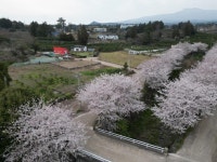 혁신부영공인중개사사무소