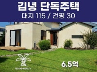 아일랜드공인중개사