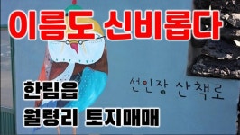 오일장신문닷컴
