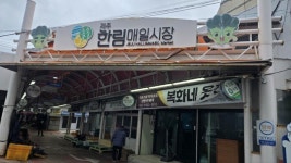 제주오름부동산중개