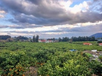 제주해밀공인중개사