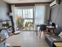 솔솔공인중개사