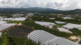 수림공인중개사