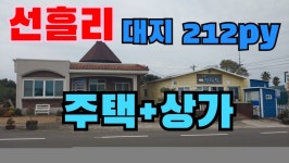 오일장신문닷컴