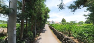 제주올레길공인중개사