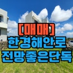 제주새희망공인중개사사무소