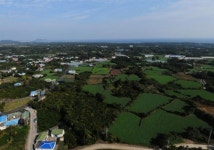 제주박대표공인중개사사무소