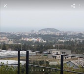 김미정부동산중개