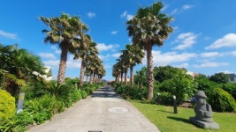 유쾌한제주공인중개사사무소