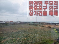 다올레공인중개사사무소