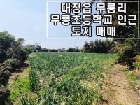 다올레공인중개사사무소