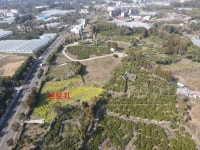 나무공인중개사사무소