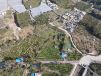 나무공인중개사사무소