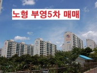 부영대림공인중개사