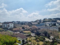 복부인 공인중개사사무소