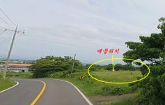 제주금룡공인중개사