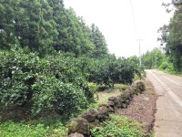 아름다운제주땅공인중개사