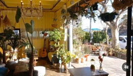 세화오름공인중개사