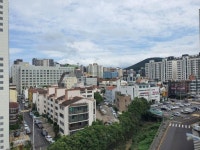 제주팔구사부동산중개