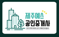 제주예스공인중개사