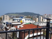 오일장신문닷컴