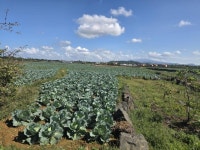 씨유공인중개사사무소