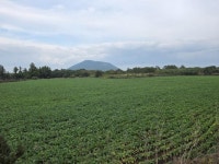 씨유공인중개사사무소