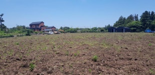 제주땅사랑공인중개사