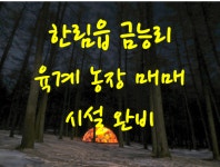 오일장신문닷컴