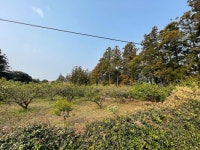 제주착한 공인중개사사무소