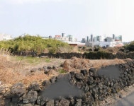 제주착한 공인중개사사무소